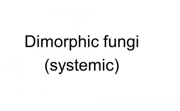 Budding yeast in urine